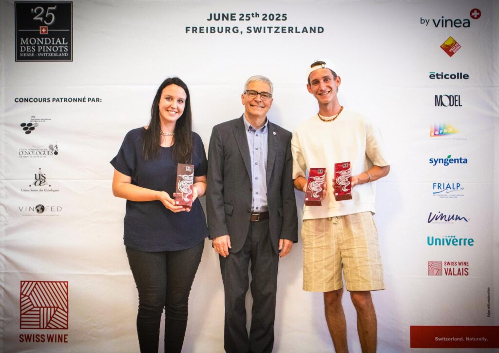 WhatsApp Image 2026-01-07 at 17.29.41 (2)